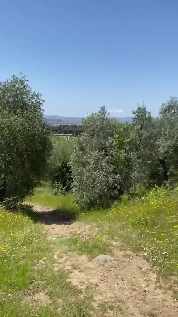 En el paseo, la apasionada amante de la tecnología complace a su pareja hasta alcanzar el clímax facial